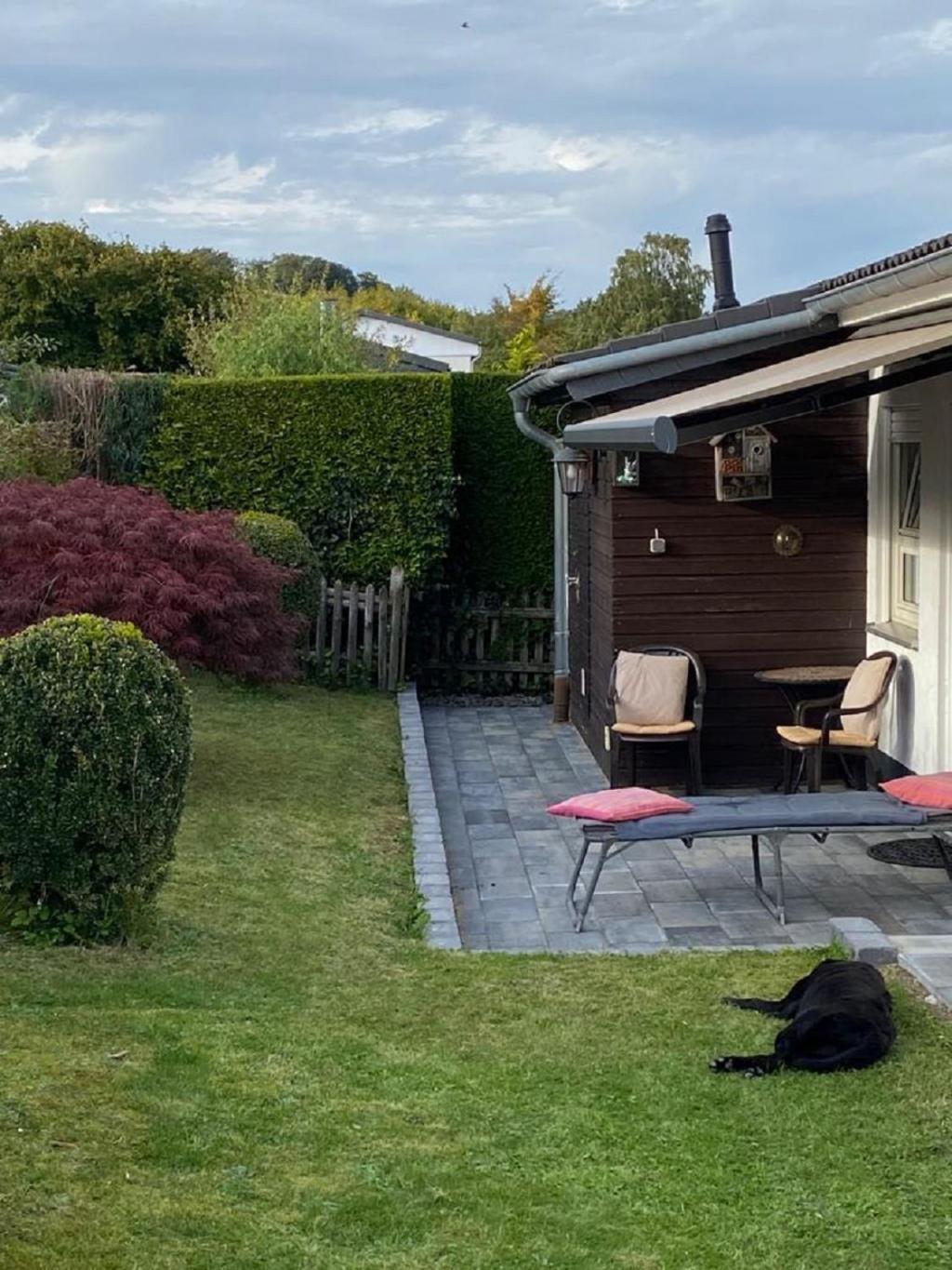 Ferienhaus Glueckspilz Beim Hennesee ميشيده المظهر الخارجي الصورة